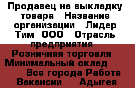 Продавец на выкладку товара › Название организации ­ Лидер Тим, ООО › Отрасль предприятия ­ Розничная торговля › Минимальный оклад ­ 17 600 - Все города Работа » Вакансии   . Адыгея респ.,Адыгейск г.